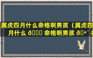 属虎四月什么命格啊男孩（属虎四月什么 🐞 命格啊男孩 🪴 名字）